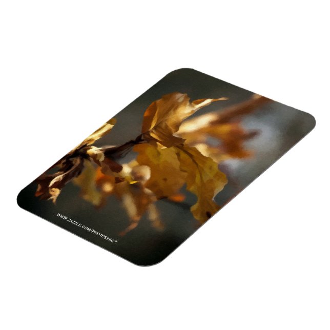 Imán Otoño (Lado Izquierdo)