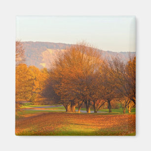 Imán Otoño
