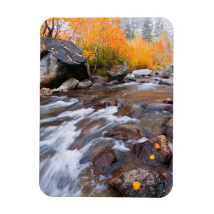 Imán Otoño a lo largo de Bishop Creek, CA