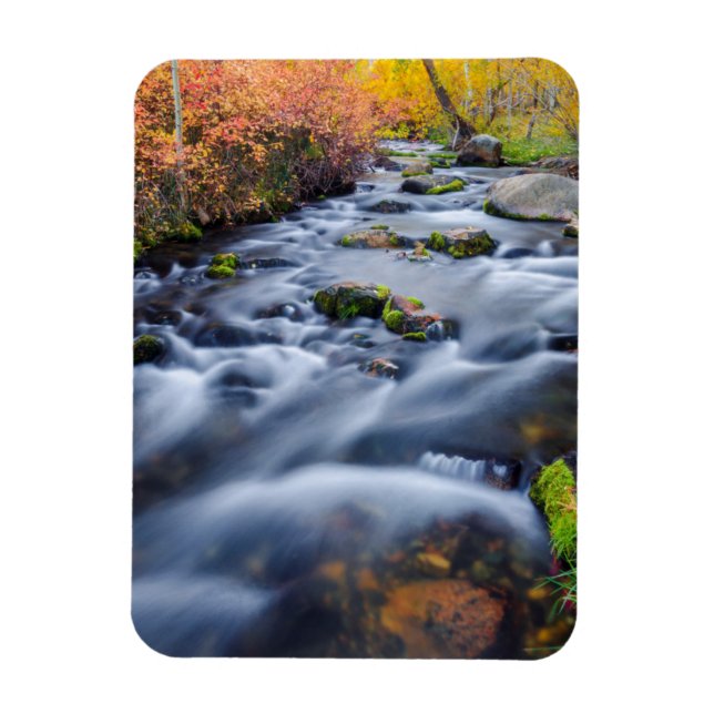 Imán Otoño a lo largo de Lundy Creek, California (Vertical)