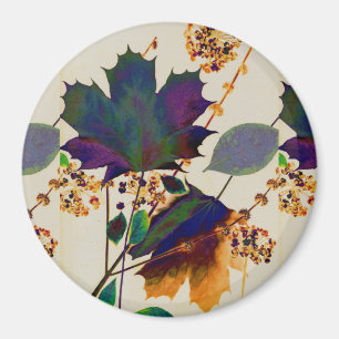 Imán Otoño deja colores reales
