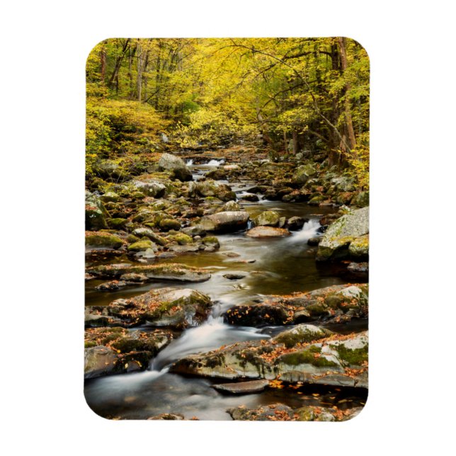 Imán Otoño en Big Creek (Vertical)