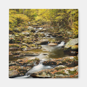 Imán Otoño en Big Creek