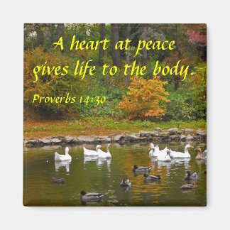 Imán Otoño en el estanque del pato