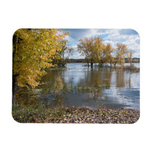 Imán Otoño en el lago de los perros negros