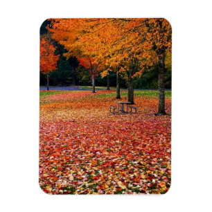 Imán Otoño en el parque
