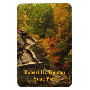 Imán Otoño en el Parque Estatal Treman