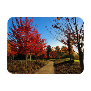 Imán Otoño en el parque, Oregón