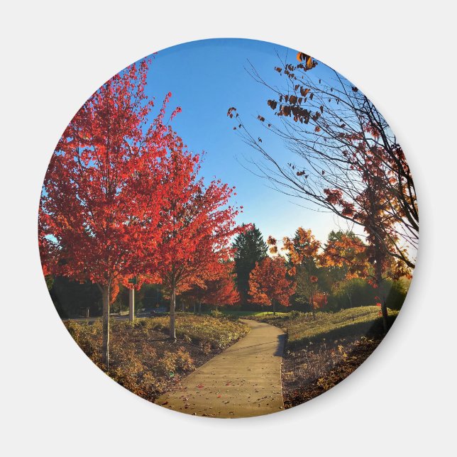Imán Otoño en el parque, Oregón (Frente)