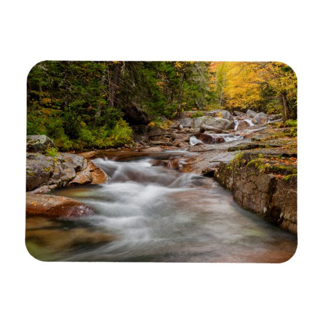 Imán Otoño en Jefferson Brook, New Hampshire (Horizontal)