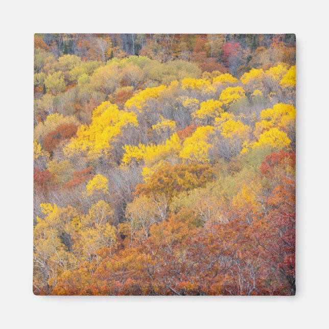 Imán Otoño en Michigan (Frente)