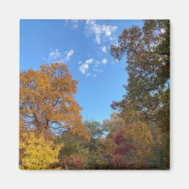 Imán Otoño en Nueva Inglaterra