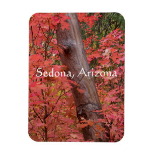 Imán Otoño en rosa, en Sedona, Arizona