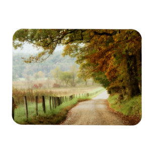 Imán Otoño en una carretera rural