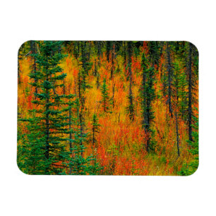 Imán Otoño en una pradera