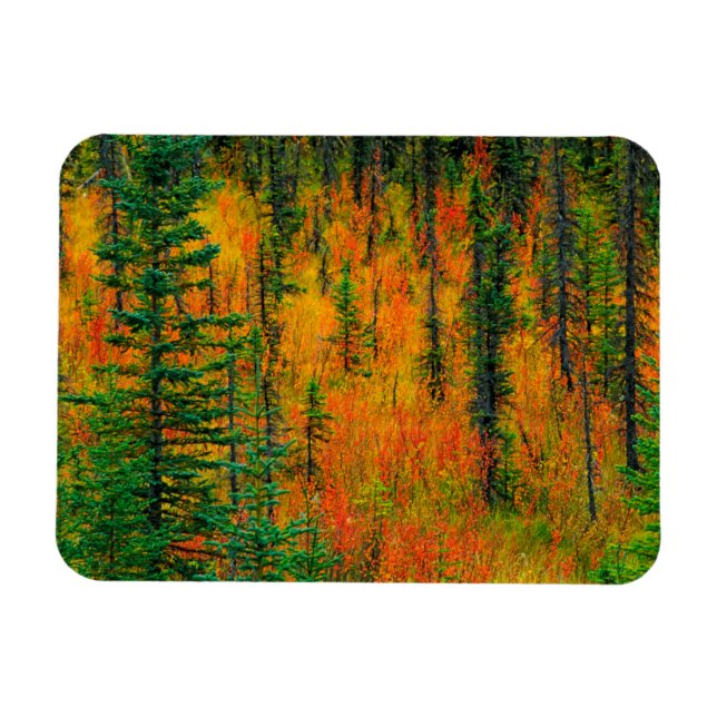 Imán Otoño en una pradera (Horizontal)