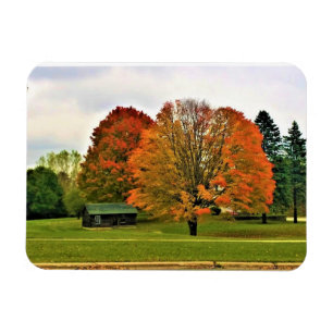 Imán Otoño en West Bend, Wisconsin