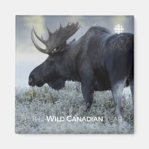 Imán Otoño - Moose