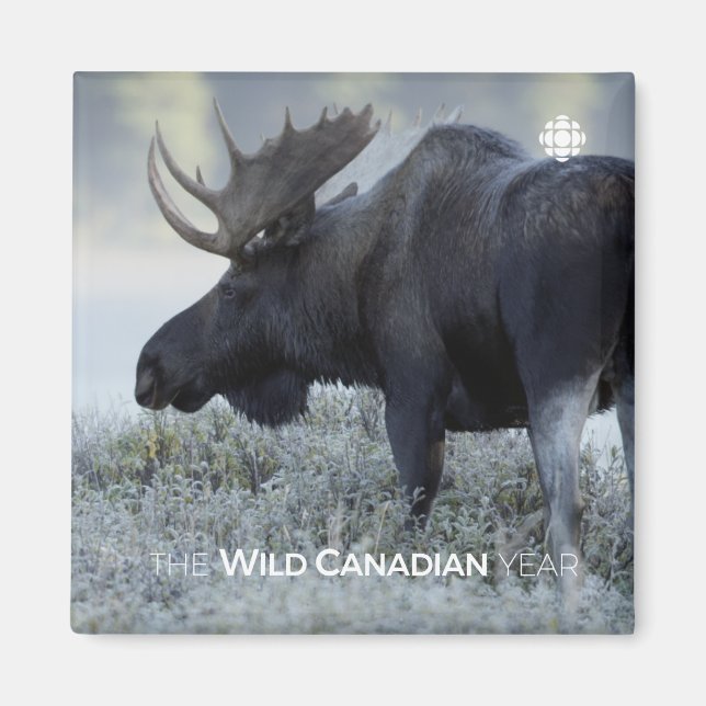 Imán Otoño - Moose (Frente)