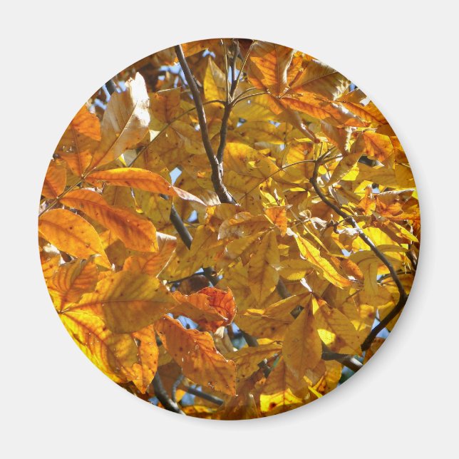 Imán Otoño Sale Regalos de Oro Coleccionables (Frente)