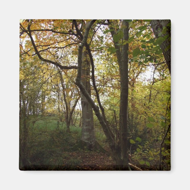 Imán Otoño Woods Magnet (Frente)