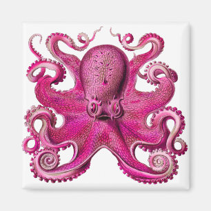 Imán Otopus Haeckel rosa