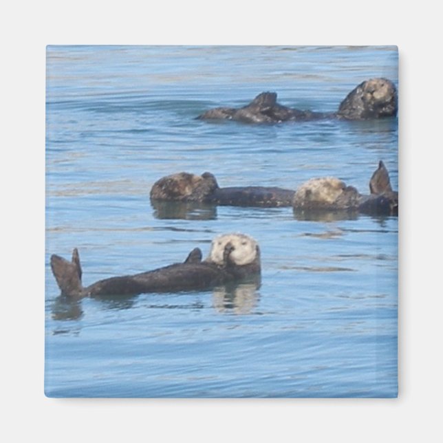 Imán Otter Magnet (Frente)