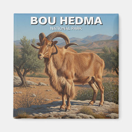 Imán Oveja barbarie en el Parque Nacional Bou Hedma en