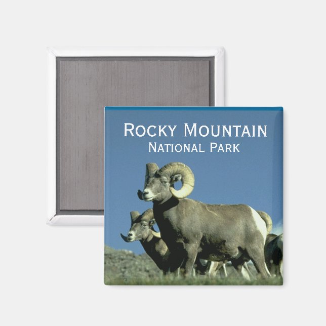 Imán Oveja Bighorn (Anverso/Reverso)