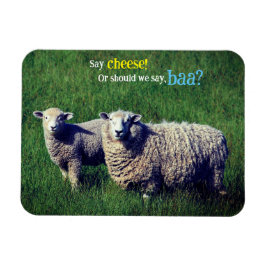 Imán Oveja con cordero en pradera de hierba