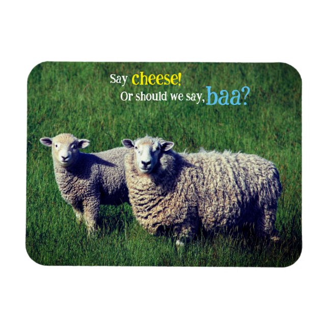 Imán Oveja con cordero en pradera de hierba (Horizontal)