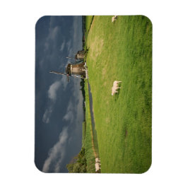 Imán Oveja con molinos de viento bajo nubes oscuras