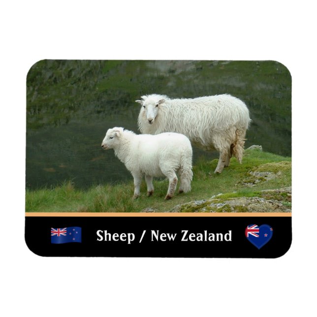 Imán Oveja, cordero y animales de campo famosos / Nueva (Horizontal)