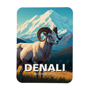 Imán Oveja en el Parque Nacional Denali en Alaska