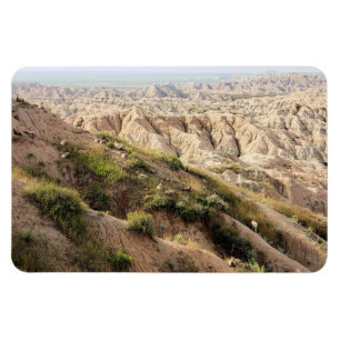 Imán Oveja grande de cuerno en el Parque Nacional Badla