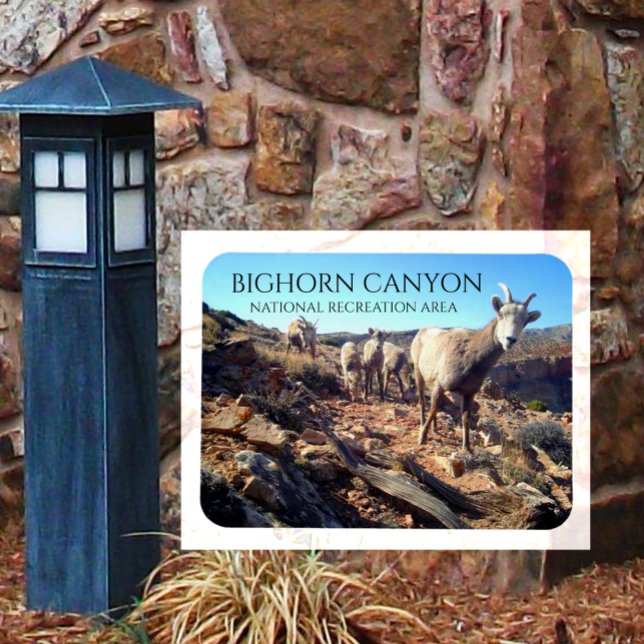 Imán Ovejas de BIghorn y cañón joven de BIghorn (Subido por el creador)