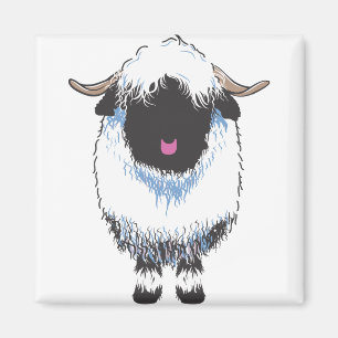 IMÁN OVEJAS DE VALAIS BLACKNOSE