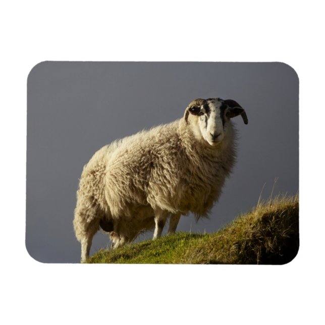 Imán Ovejas, península de Trotternish, isla de Skye, (Horizontal)