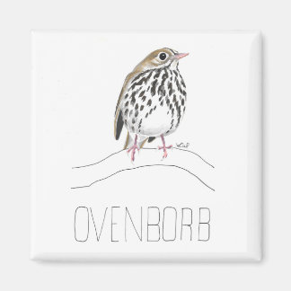 Imán Ovenborb (Ovenbird)
