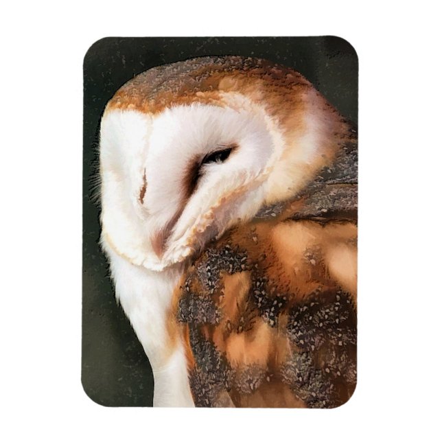 IMÁN OWL (Vertical)