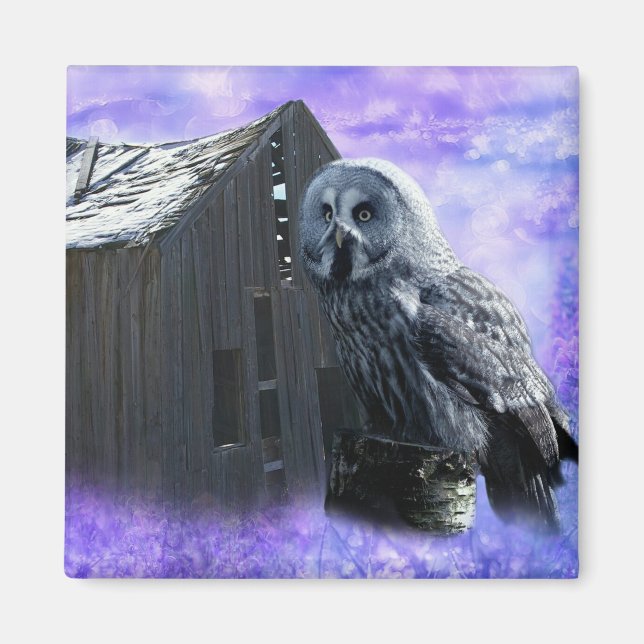 Imán Owl Barn Shed (Frente)