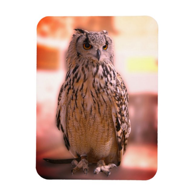 Imán Owl Experience Somerset (Vertical)
