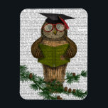 Imán Owl Leyendo en la rama<br><div class="desc">Animales y Naturaleza</div>