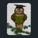 Imán Owl Leyendo en la rama<br><div class="desc">Animales y Naturaleza</div>