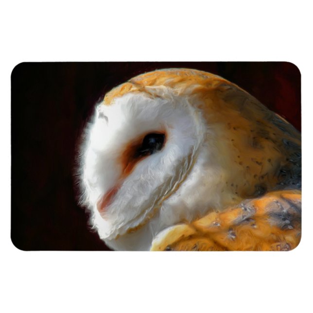 IMÁN OWLS (Horizontal)