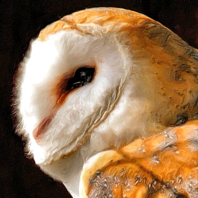 IMÁN OWLS (A beautiful soft artistic watercolor of a Barn Owl.)