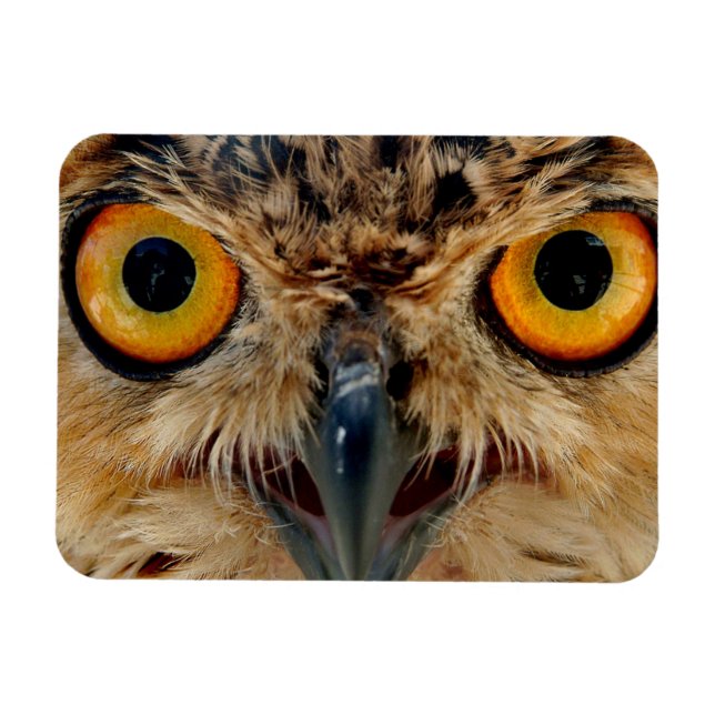 Imán Owls Eyes (Horizontal)