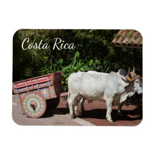 Imán Oxcart de Costa Rica