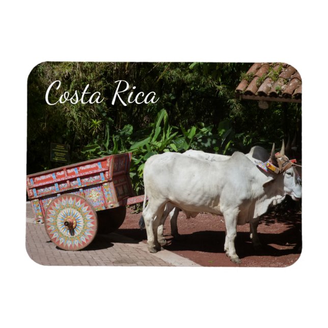 Imán Oxcart de Costa Rica (Horizontal)