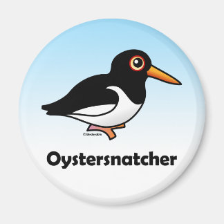 Imán Oystersnatcher